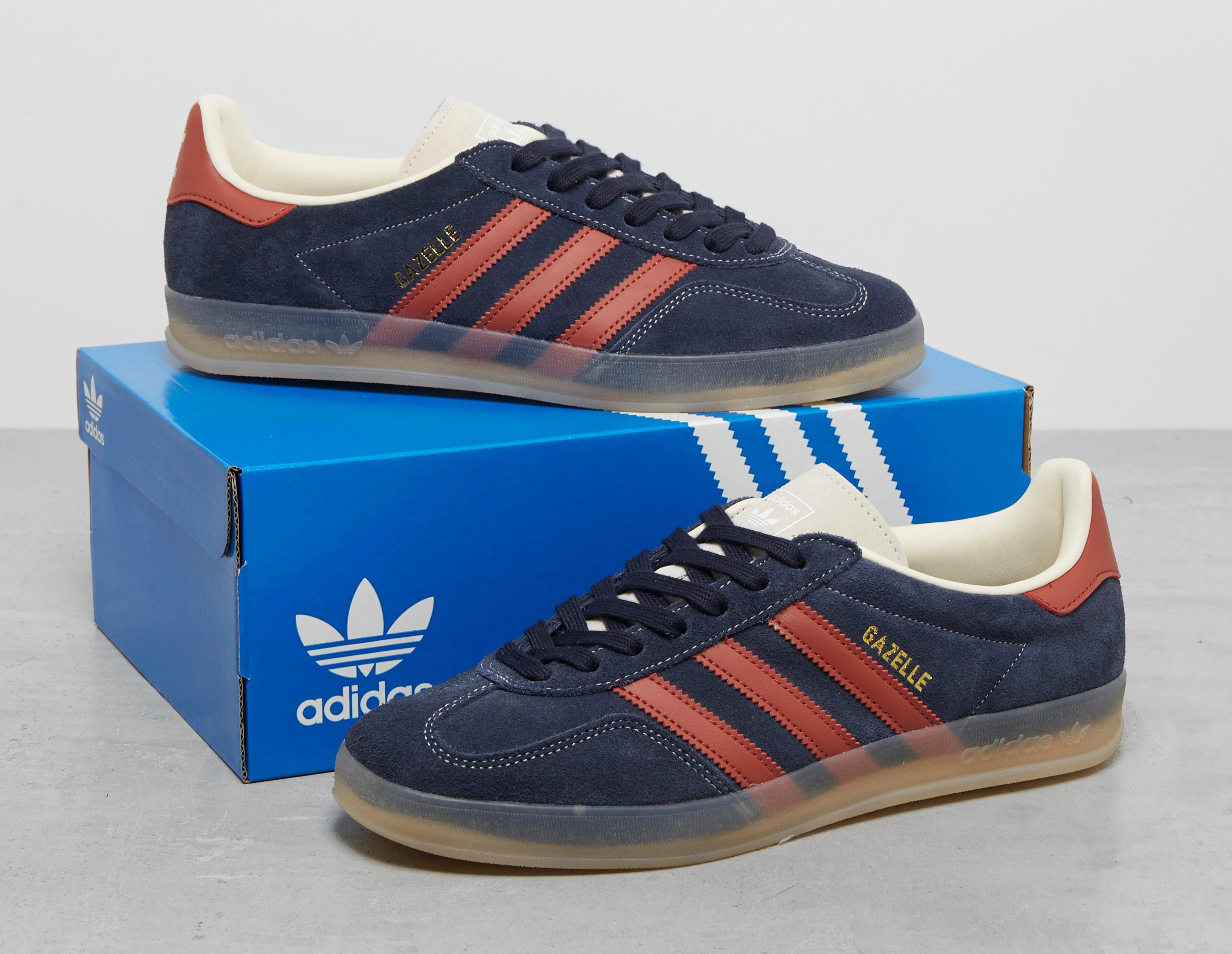 Gazelle Indoor - Image 5