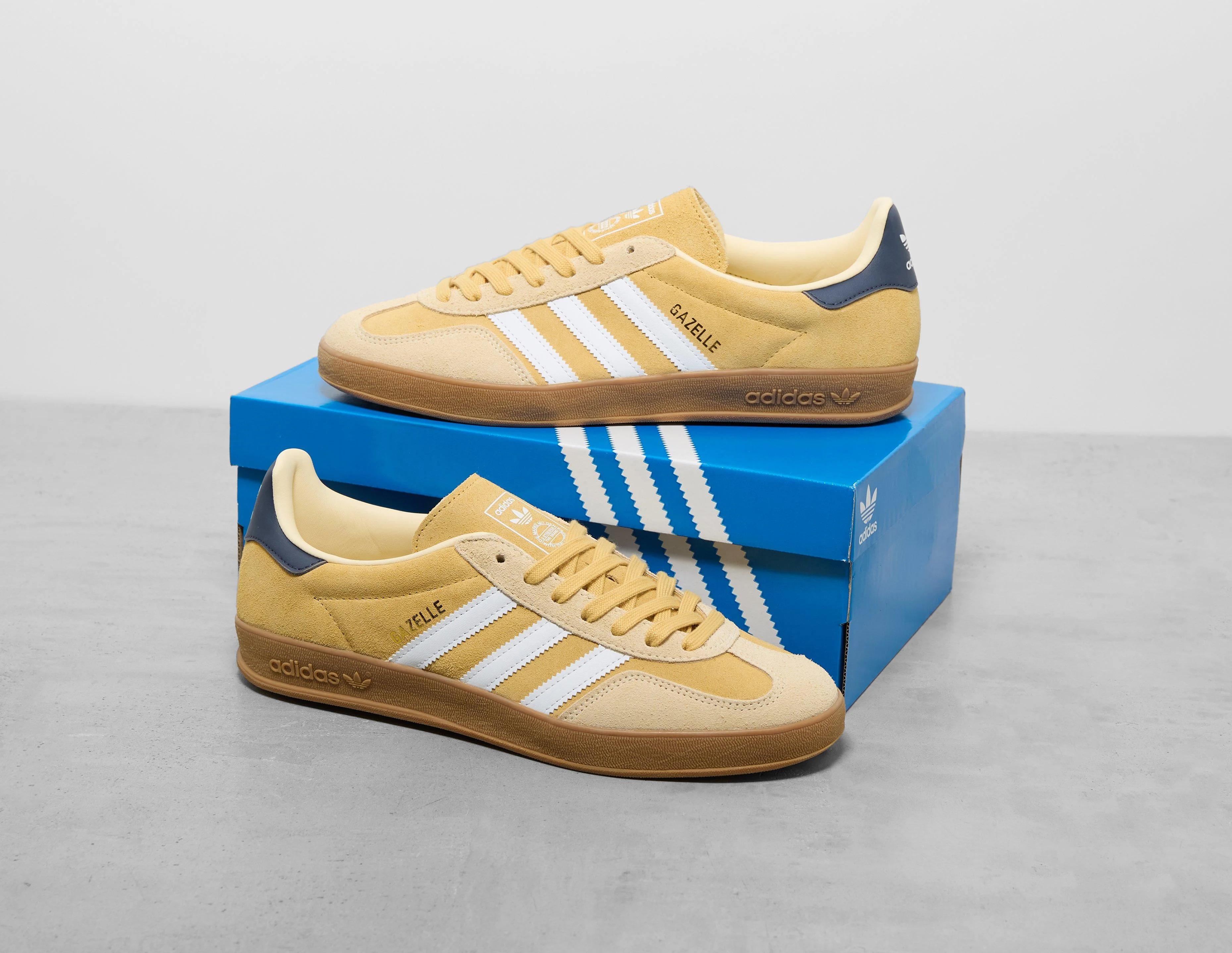 Gazelle Indoor - Image 5